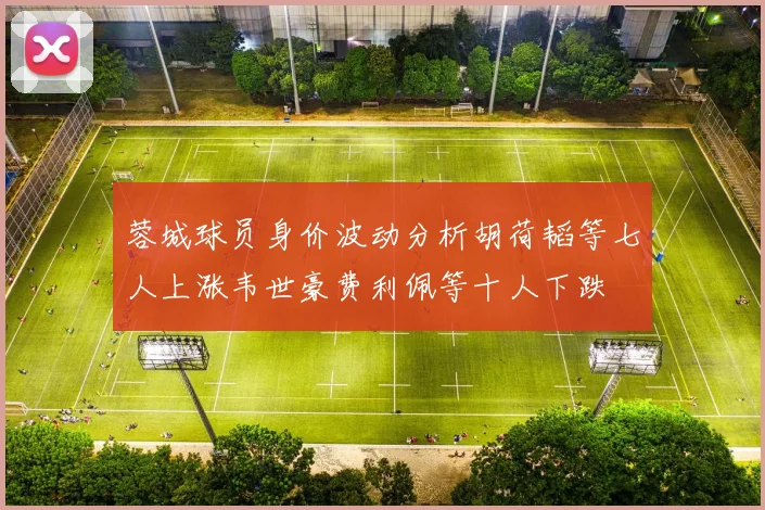 蓉城球员身价波动分析胡荷韬等七人上涨韦世豪费利佩等十人下跌
