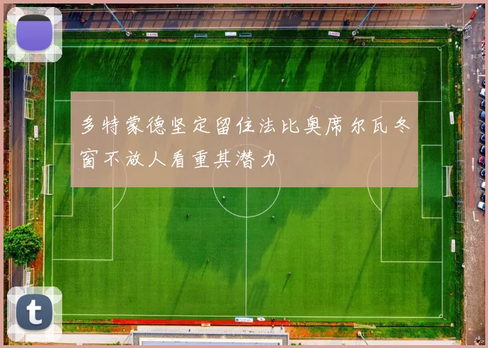 多特蒙德坚定留住法比奥席尔瓦冬窗不放人看重其潜力