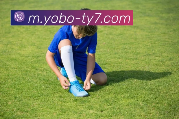 YOBO体育APP 封面图